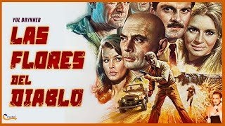 'Las Flores del Diablo' | PELÍCULA COMPLETA EN ESPAÑOL | Acción | Intriga | 1966