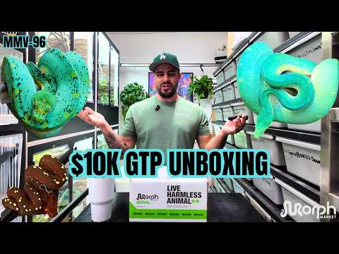 $10K Designer Green Tree Python CRAZY UNBOXING!