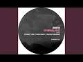 Attemporal Pulse (Seabra Monkey's Ragga Edit)