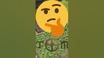 Han paddy fields rather than farms? What