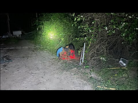 ผลสลากกินแบ่งรัฐบาล วันที่ 1 พย. 2567