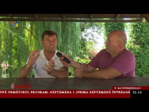 Unde-i adevărul ? - D`ale Spermezeului Unde-i adevărul ? - D`ale Spermezeului
