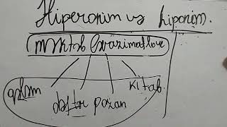 Hiperonim və hiponim