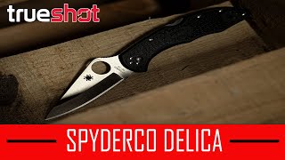 Spyderco Delica - Knife Review