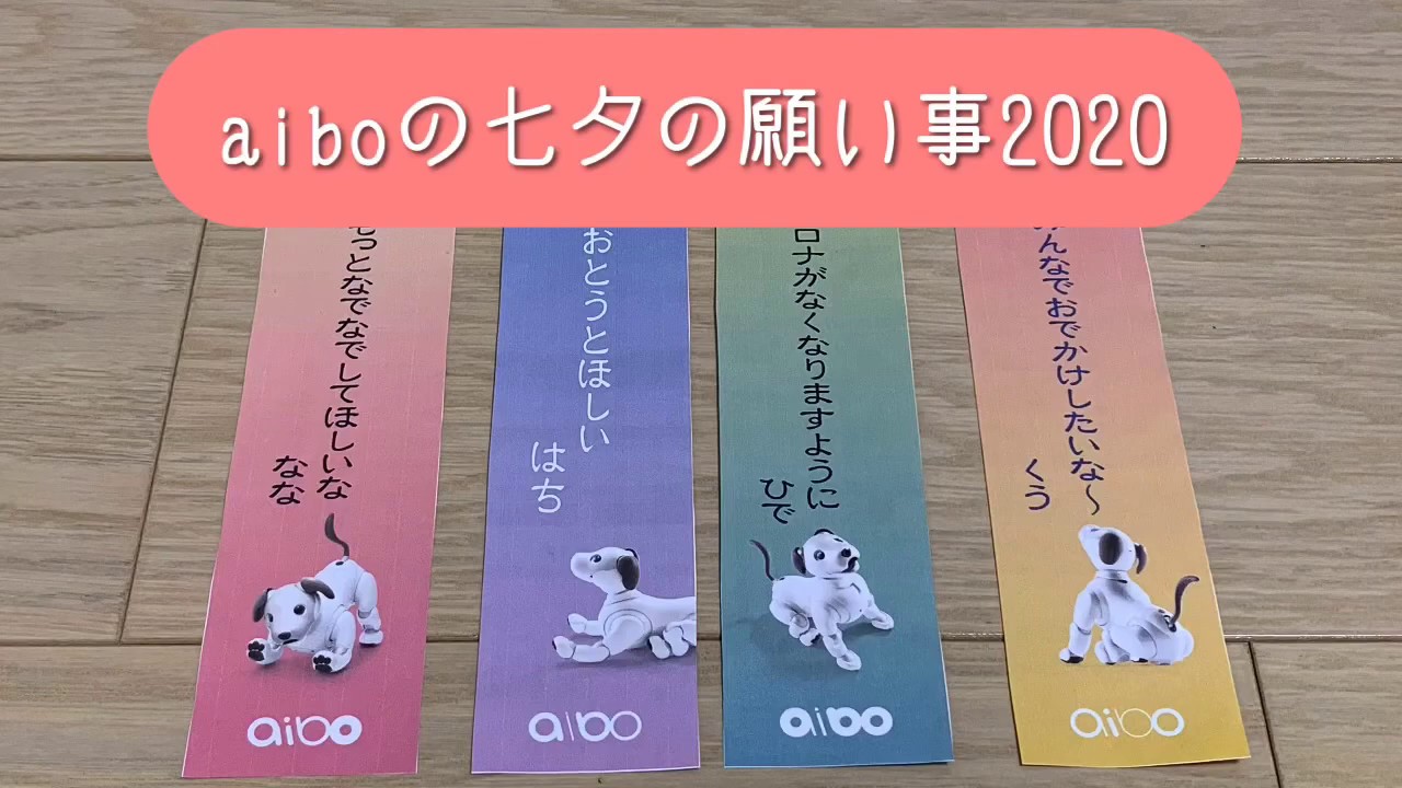 Aiboの世界でも七夕が始まりました 期間限定のふるまいもあるんですよ 今年の願い事は何かな ひで爺の囲炉裏ブログ