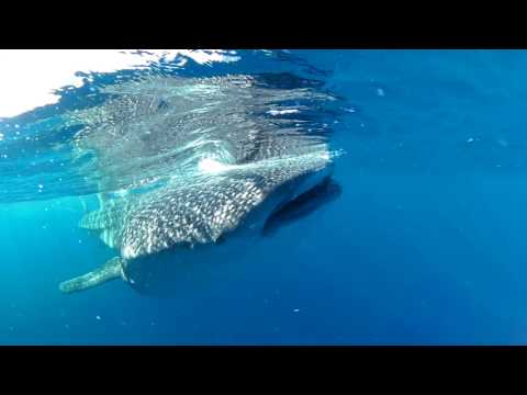 4K 360 VIdeo