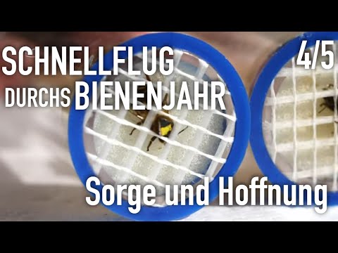 Video: Aufgelaufene Darlehenszinsen: Buchung in der Buchh altung