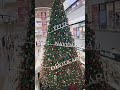 Christmas tree, Viva Barranquilla