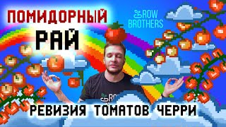 Томаты черри на гидропонике в гроубоксе DWC 🍅 - ТОТАЛЬНЫЙ ОБЗОР #черри #томаты #гидропоника