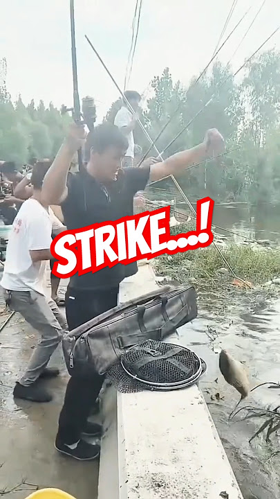 Fishing Strike 900 #fishing #fishing #fish #fish #strike #fishingmania #wildfishing