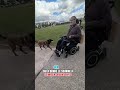 GUN 29 malinois qui a donné le sourire à ce mr en jouant avec