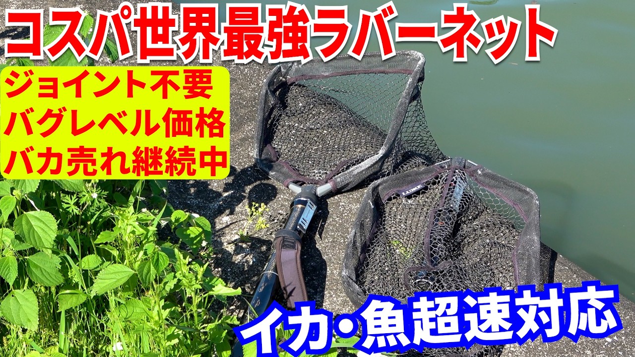 【コスパ崩壊】ジョイント不要で片手で一発！過去バズり散らかした「世界最強ネット」の絶対に損しない使い方教えます【エギング】