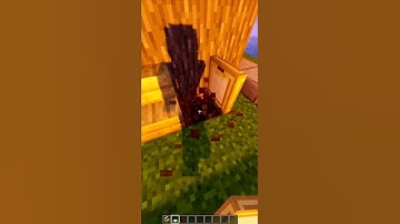 Minecraft Animation