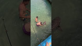 Shark Freed from Fishing Line || ViralHog