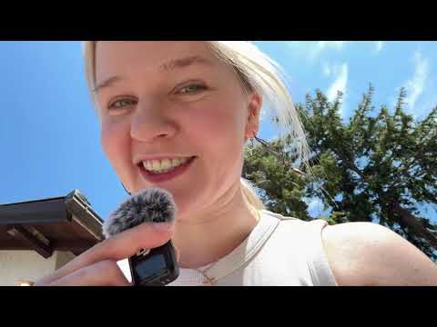 Catching locusts with my husband in Serbia. WHY, you might ask?