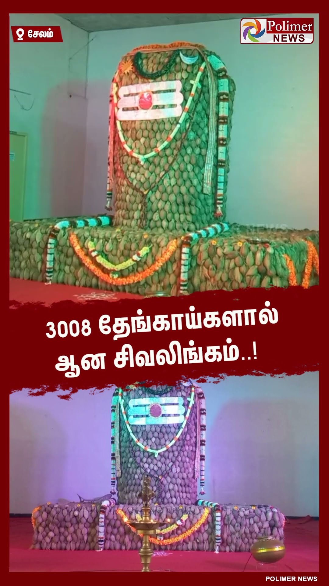 3008 தேங்காய்களால் ஆன சிவலிங்கம்.! #shorts | #shivalingam