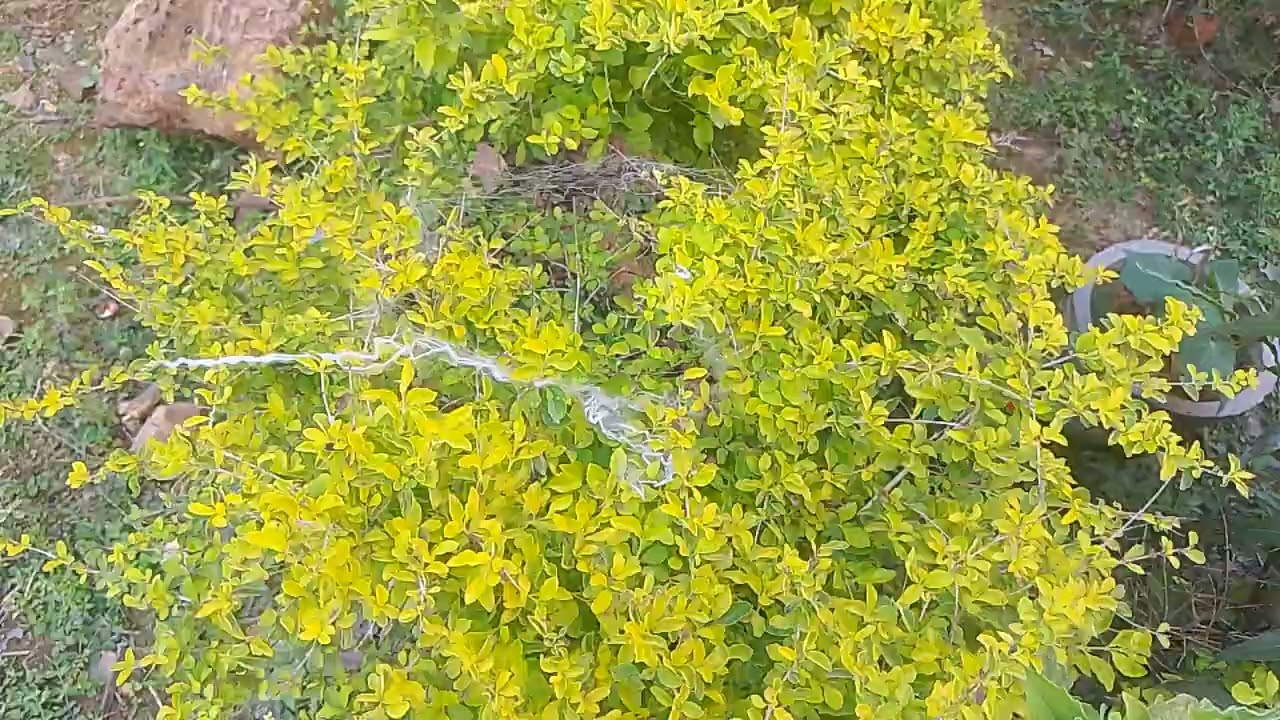 ଆମ ସ୍କୁଲ miss you 😔😔