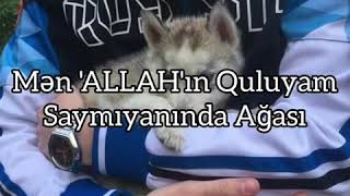 Qisa Maraqli Videosu