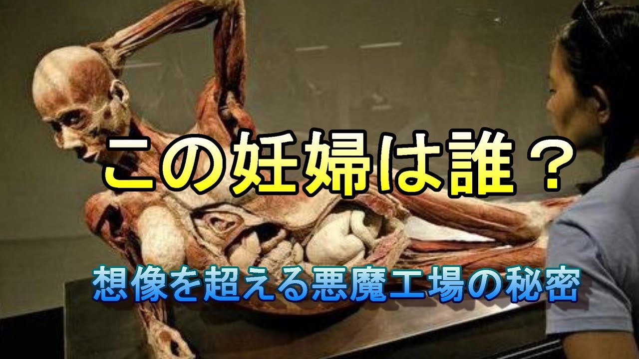 人体の不思議展 から見る 世界の闇 しろにいさんのブログ ネオ兵庫発 ドス暗いブログへようこそ ゚w゚ みんカラ 人体の不思議展 から見る 世界の闇 しろにいさんのブログ ネオ兵庫発 ドス暗いブログへようこそ ゚w゚ みんカラ