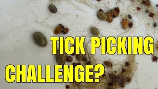 Tick Removal, How Many In 30 Minutes?