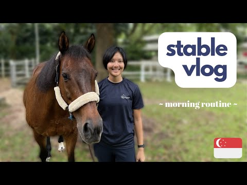 stable vlog || morning routine 🐴