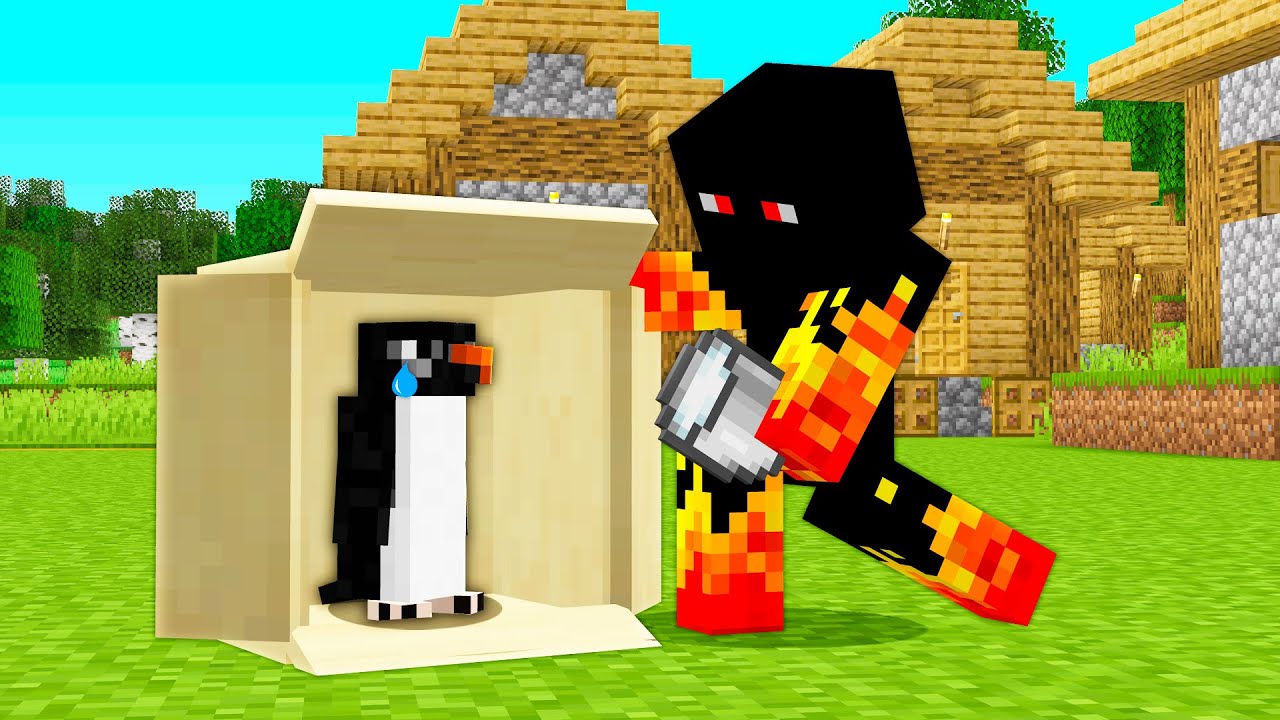 Cuidei do Pinguim Indefeso