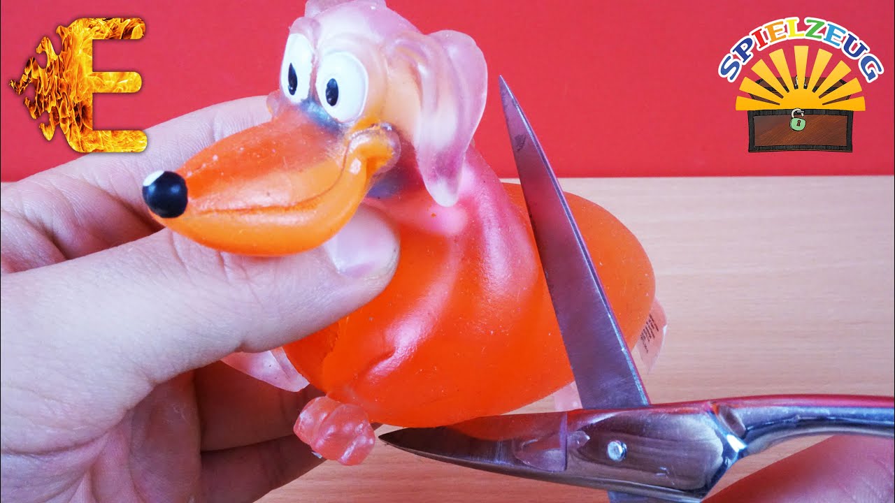 GLIBBER HUND ZERSCHNEIDEN SCHLEIM WABBELFÜLLUNG EXPLODIERT EXPERIMENT