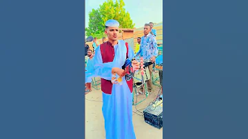 جديد الفنان مصطفى ود ام شجرة 2025 