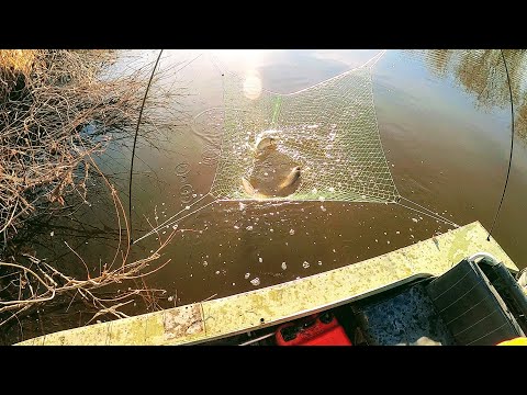 Видео: Какъв трябва да бъде онлайн магазин, за да го харесва всеки