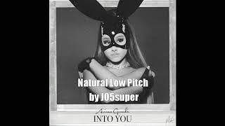 Into You - Ariana Grande (Natural Low Pitch) (Lower Key)