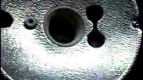 Disassembling D-Lite RX One