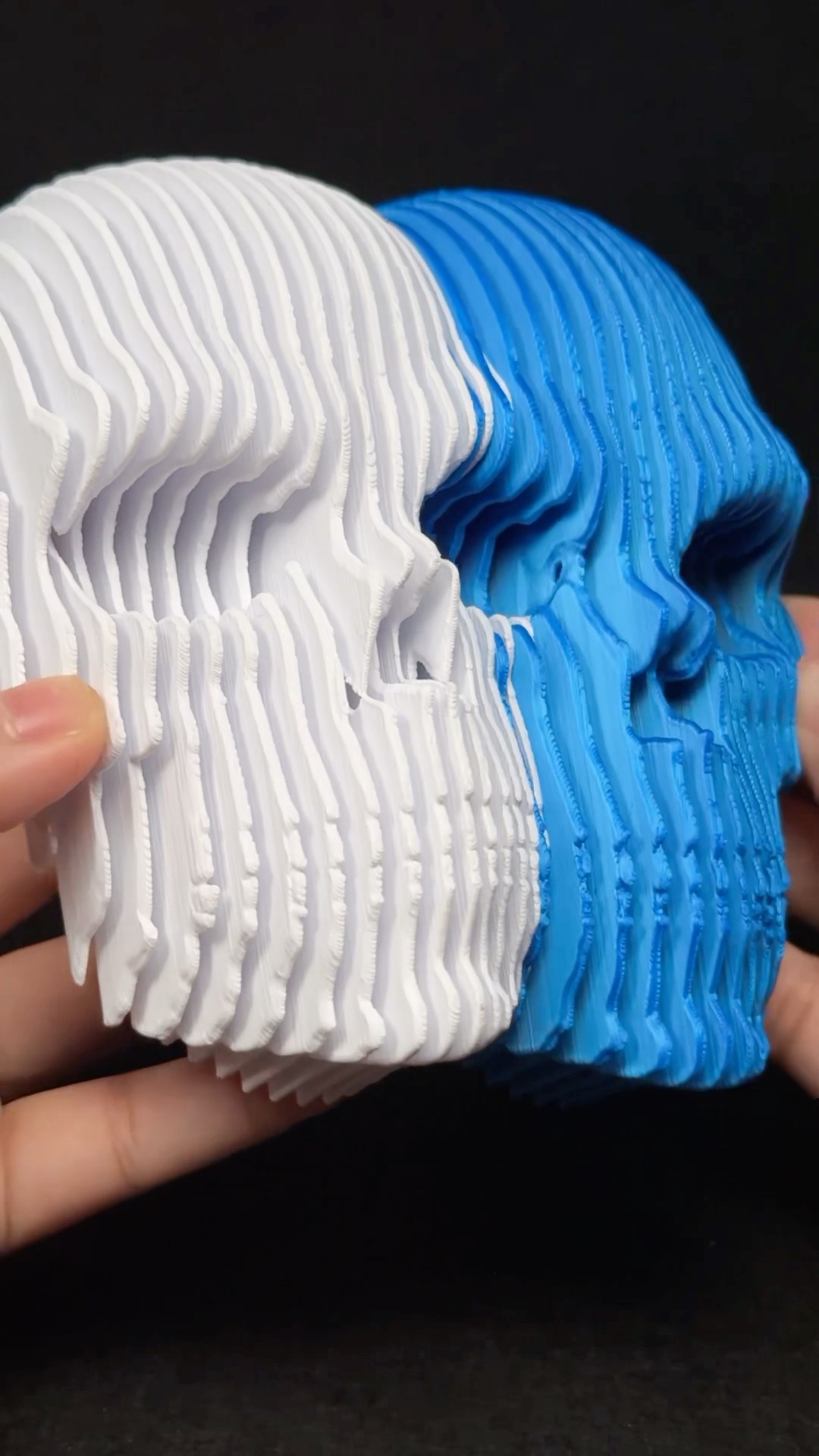 Quantum Skull