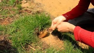 Make Trap Catch Eel in Hole​; How To Catch Eel From Deep Hole