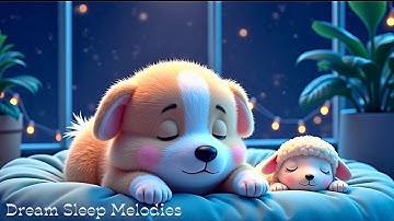 Relaxing Sleep Aid Eliminate Stress, Promote Melatonin & Toxin Release, Fall into Deep Slumber Fast