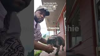 some of the best Frenchies around Alabama five Star Bully club