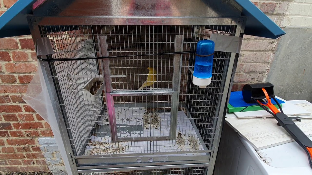 Fin suivis d'élevage