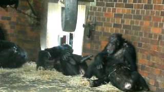 DSCF2350.avi