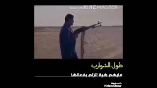 حلات واتس اب ازماط رمي بكيسي ?