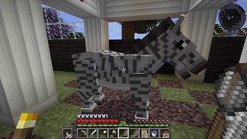 Building My Dream Zoo in Minecraft | Ep 03