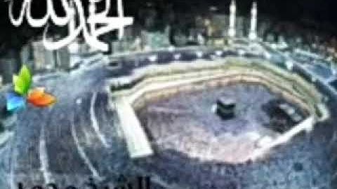 سورة المنافقون،، الشيخ محمد المحيسني
