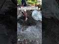 PIYE PAK ASISTEN TUKANG INI