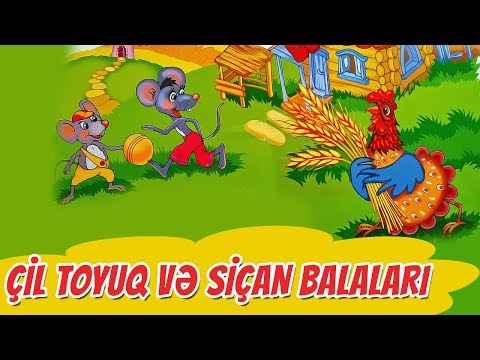 Video: Toyuqlar siçan yeyəcəkmi?