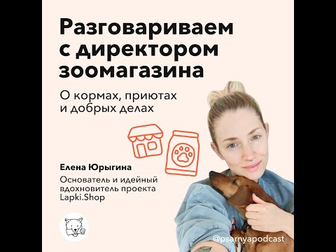 Разговариваем с директором зоомагазина о кормах, приютах и добрых делах