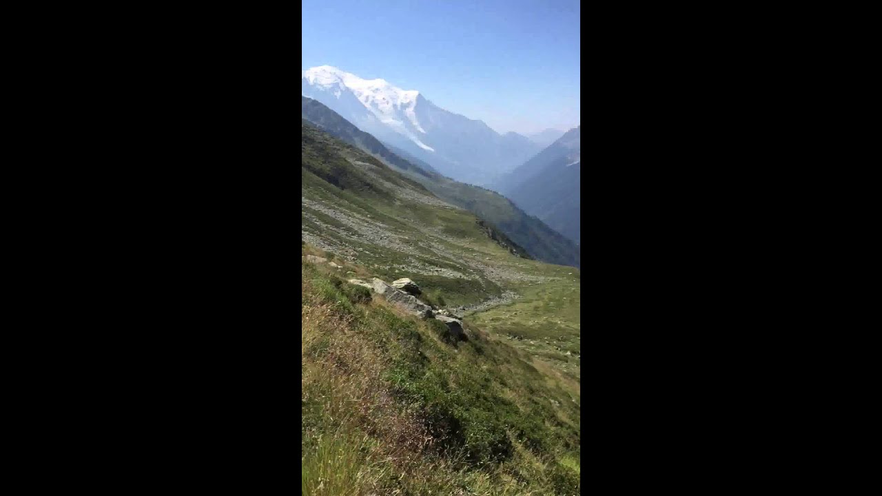 Леон и Сара (Младите авантюристи) camera iphone 8 plus apk