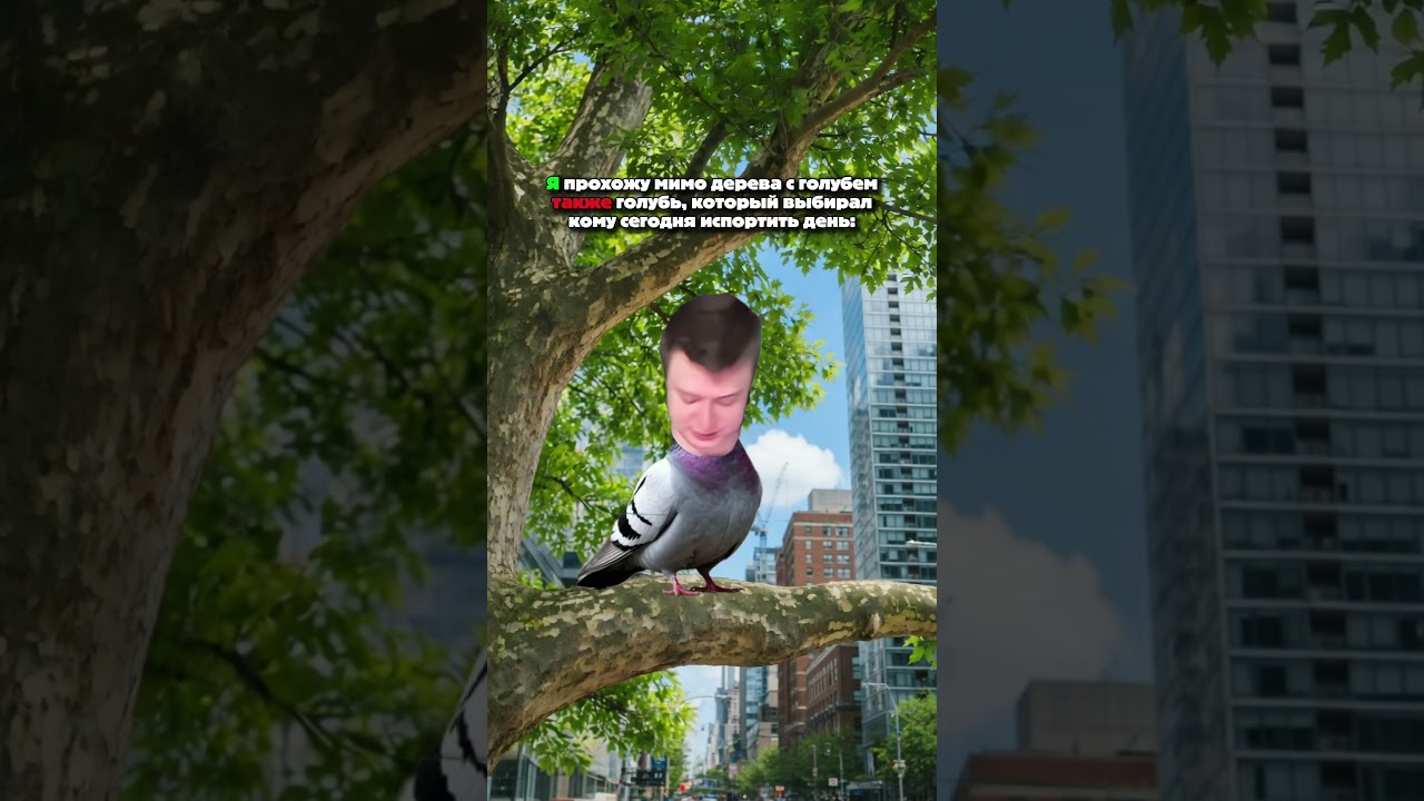 хахахахахахах 