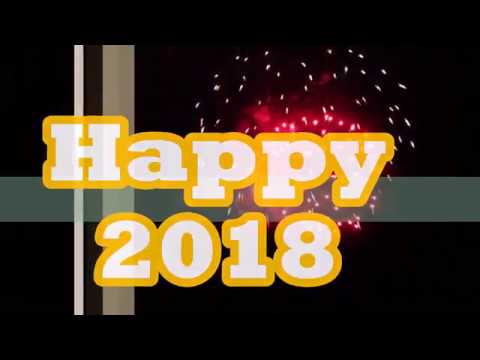 Happy new year cat video download
