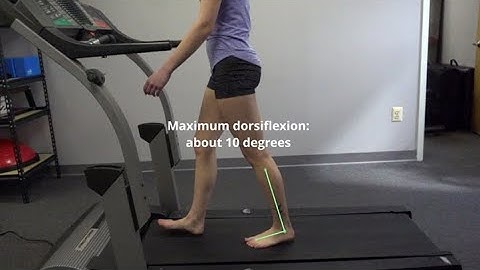 Analysis of Gait Motion: Sagittal Plane