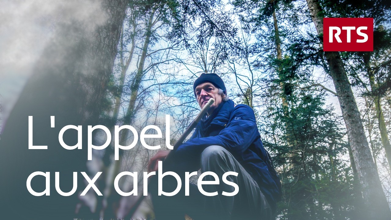 Les liens mystérieux qui unissent l’arbre et l’homme vus par un chercheur atypique