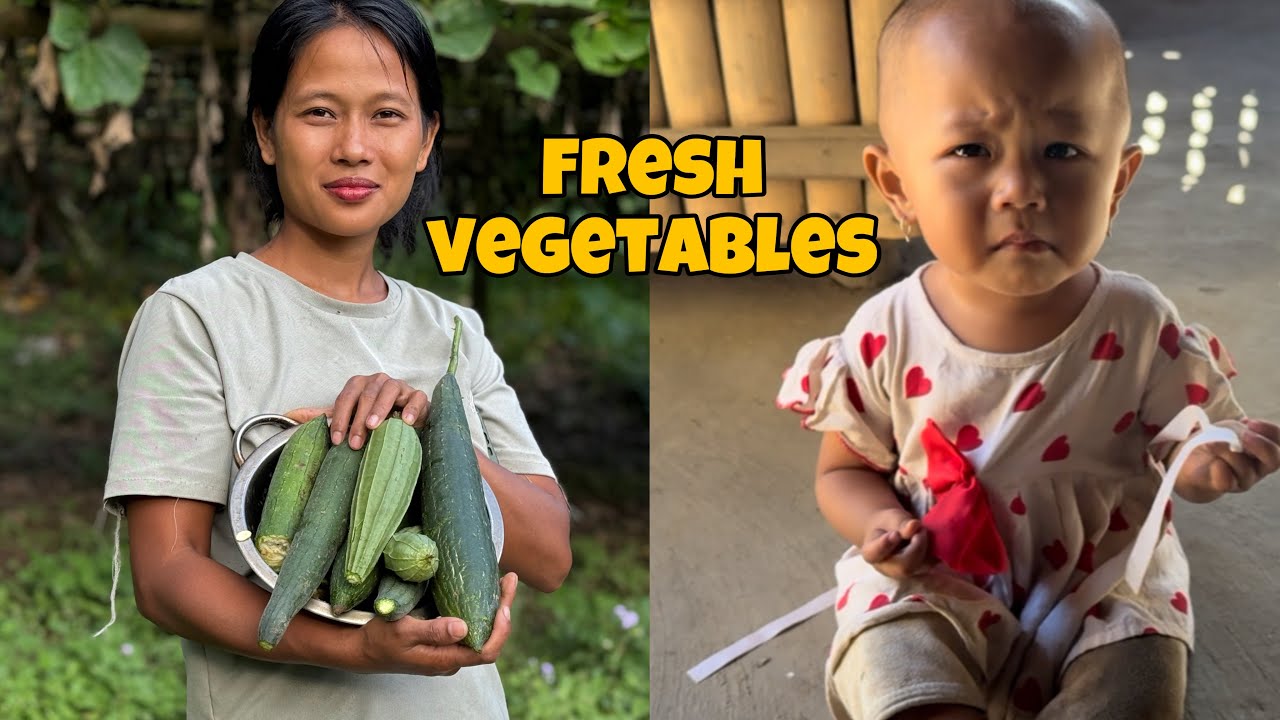 Harvesting Fresh Vegetables || Village Life 
