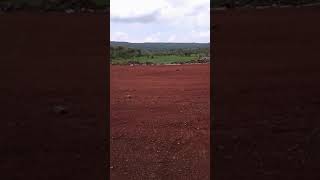 Pasados  De Ranchos El Granjenal Muim Puruandiro Michoacán México(2)